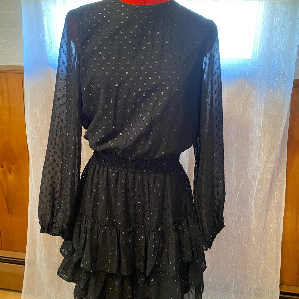 Express Black Ruffled Mini Dress - Picture 4 of 5
